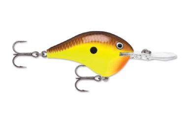 CHARTREUSE BROWN